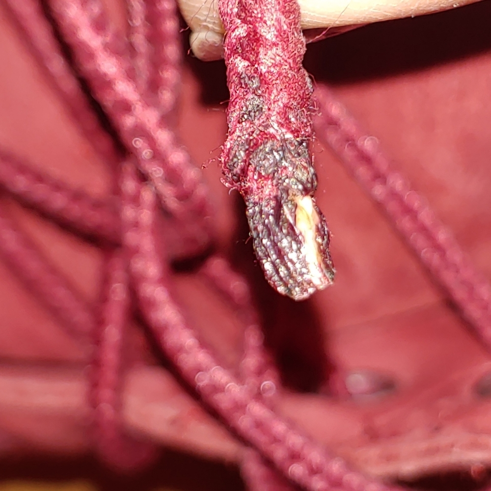 Timberland - Picture 4 of 5